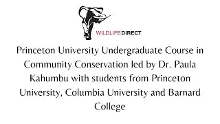 How do we make Kenya a superpower for biodiversity conservation?