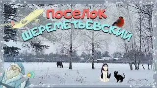 г. ДОЛГОПРУДНЫЙ. Зимняя прогулка по посёлку Шереметьевский.