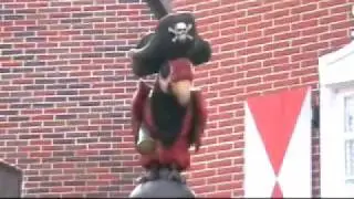 Der Papagei vor Piraten in Batavia