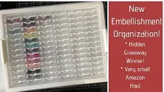 CHAT: New Embellishment Organization & Small Amazon Haul!