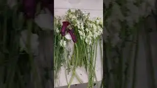 What are these alien flowers?