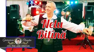VALI & VERGI ❌ COLAJ DE ASCULTARI ✅ NELU BITINA ✘ VORBE ADEVARATE ✘ NOU  ✅  MUZICA DE VOIE BUNA