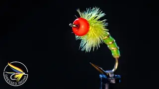 Remnant Fly #16 - Hot Spot Cadddis - Dressed Irons