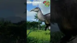 Deinocheirus - Un jour, Un dino