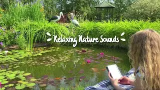 READ WITH ME | RELAXING NATURE SOUNDS 🌿