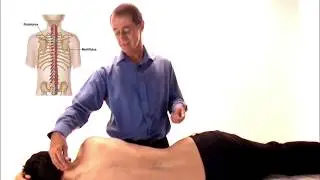 Multifidi - Dry Needling Medical Acupuncture for Trigger Points