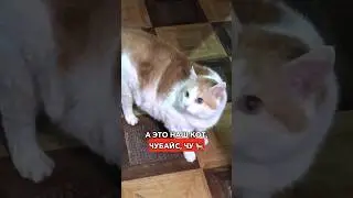 Наше начало — наш путь! 😏 