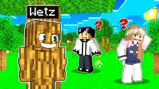 Cheating With 100% Invisible Camo To PRANK My Friends in Minecraft