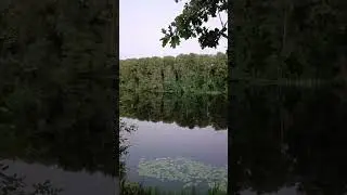 Ничегошеньки не поймали