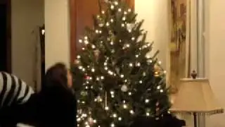 Casey Shea - A Very Merry Christmas!