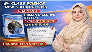 6th class science new textbook 2023 Chapter 4 Human digestive system Exercise complete Q no 4.5,4.6!