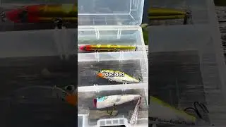 Building The Ultimate Starter Tackle Box 🎣