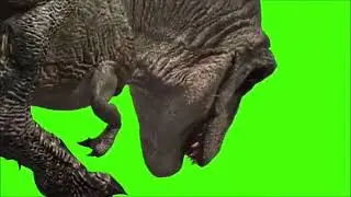 dinosaur video