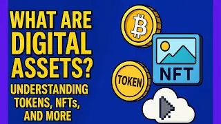 What Are Digital Assets? Understanding Tokens, NFTs, and Morebit