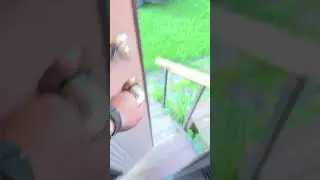 Хачироку у бабушки в деревне 😍
