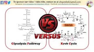 Glycolysis vs Kreb Cycle | difference between glycolysis and creb cycle | ABT Gurukul
