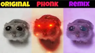 Sad Hamster Original vs Remix vs Phonk