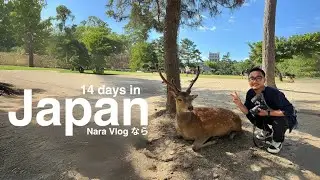 A Day in Nara: Feeding Deers & Finding Peace 🦌 Japan Vlog ep.6