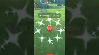 ✨I Got THIS Shiny Pokemon on Stream In Pokemon Go!✨ #shorts #pokemon