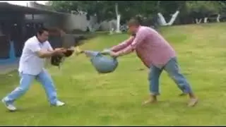 Jangari xorozni zori