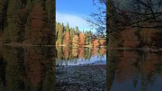 Zabojsko jezero & novembar