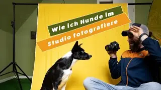 Hunde im Studio fotografieren