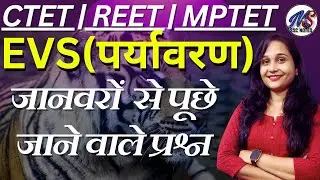 CTET 15 December 2024 || EVS || EVS By Mohit shukla sir || Class 1