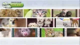 Personalized Photo Blankets of Your Pets - BlanketWorx Personalized Photo Blankets