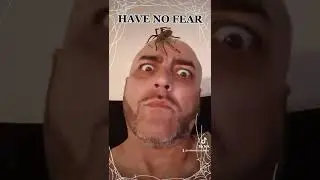 #tiktok #spider #arachnophobia