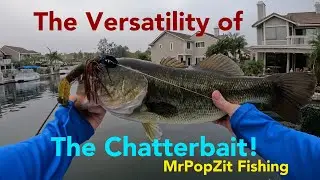 The Versatility of the Chatterbait! Great morning on the water with multiple good fish! Chatterbite!