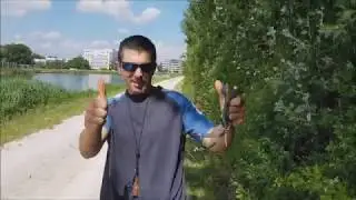 Стабильность в выстреле