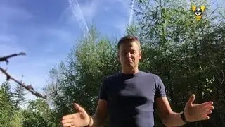 Hoe overleef je de KNVB?  - VOETBAL INSIDE