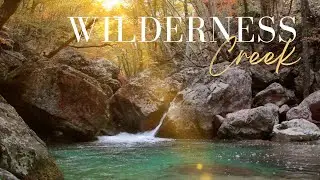 Forest Waterfall and Stream at Sunset: Tranquil Waterfall, Fall Colors, and Relaxing Sounds