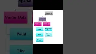 GIS DATA TYPES 