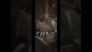 Prasanna ❤️Dhakshan #shorts  #viral   #trending   #video   #reels   #wedding   #couplestatus  #love