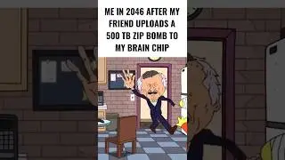 Brain chip