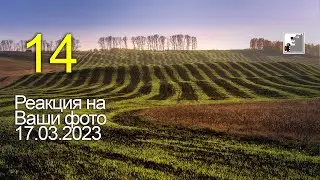 Майк Топтыгин реагирует на фото №14