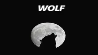 WOLF! WHAT DO YOU MEAN?