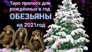 16+ Таро прогноз для родившихся в год Обезьяны, на 2021год.