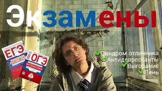история моих (м)учений