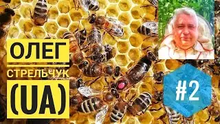 #2: About queens, the importance of drones, and much more - Oleg Strelchuk (Ukraine)