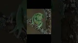 Да?