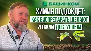 Урожайность без ущерба для природы