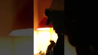 BLACK FLAG ALL ON MY MIC! 🏴‍☠️🏴‍☠️🏴‍☠️