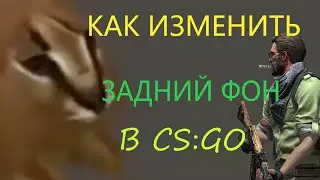 КАК ПОМЕНЯТЬ ЗАДНИЙ ФОН В КСГО