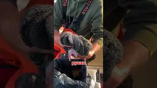 🐟 Shocking footage: a huge fish and an incredible amount of caviar! 