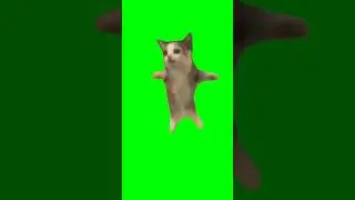 Green Screen Happy Happy Happy Cat Meme