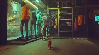 Stray - How to destroy the 3 Security Cameras, get Cassette Tape, and steal Jacket