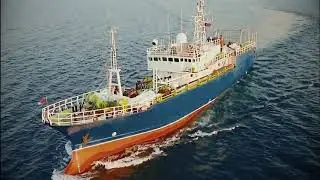 2019 г. Рыбокомбинат Островной, ДВ РЫБАК, остров Шикотан