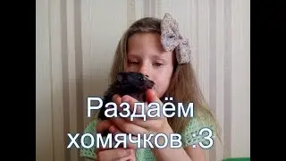 БЕСПЛАТНО раздаём хомячков :З